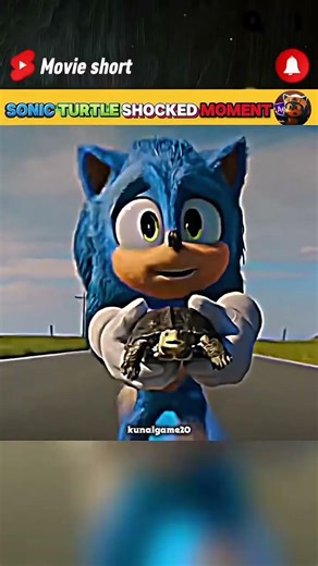 SONIC TURTLE SHOCKED MOMENT