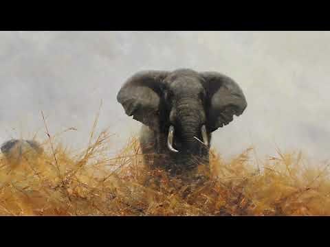 David Shepherd Our Collection