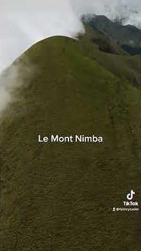 Le Mont Nimba: chaîne montagneuse entre le Liberia, la Guinée et la Côte d’Ivoire