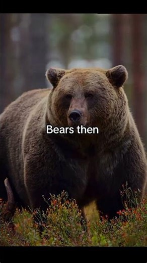 If EVOLUTION isn't Real Then Explain me This!🥱...