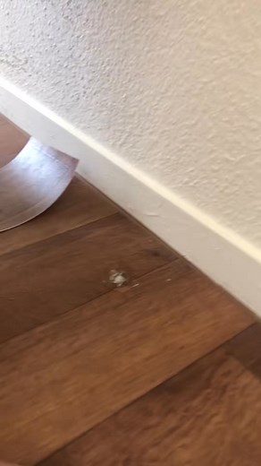 #ForYouPage #VinylWork #CraftingIdeas #LineWork #FYP #DIYTips #CreativeProjects #CraftingCommunity #flooring #20 #repair | N.Nuly | Facebook