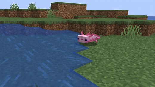What do axolotls attack in Minecraft?