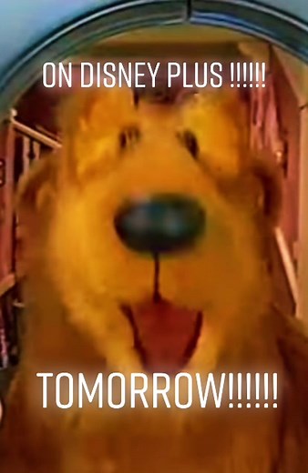 Bear in the Big Blue House on Disney Plus