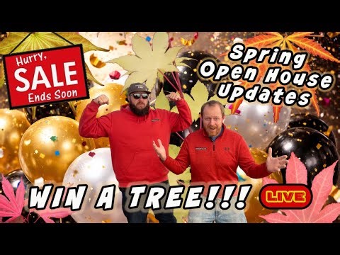 Final Days New Years Sale | Spring Open House Updates | Win a Tree