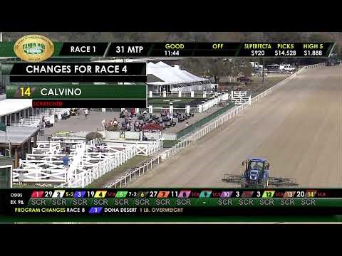 Tampa Bay Downs Live Stream