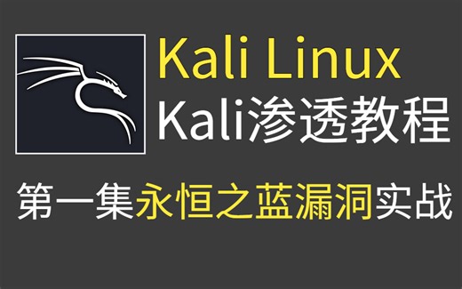 【零基础学kail】kali渗透测试教程，从零基础到精通，学完即可就业（网络安全/渗透测试/web安全/黑客技术/kali linux/kali入门）
