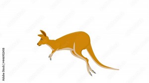 Kangaroo. Animation of the kangaroo animal, the alpha channel is enabled. Cartoon