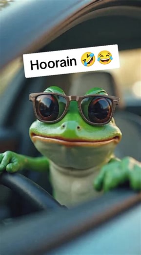 Hoorain's Baby Frog