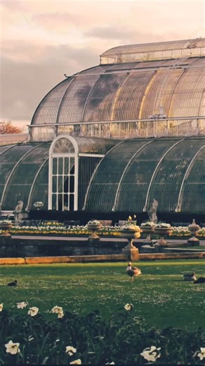 Tanglewood Conservatories on Instagram: "Historic conservatories endure because they were built with care. Their longevity is a testament to thoughtful design, skilled craftsmanship, and materials chosen for performance as much as beauty. They remind us that architecture built with intention endures, which is why Tanglewood carries these same values into every conservatory we design and build. #historicarchitecture #conservatories #tanglewoodconservatories #architecture #historical"