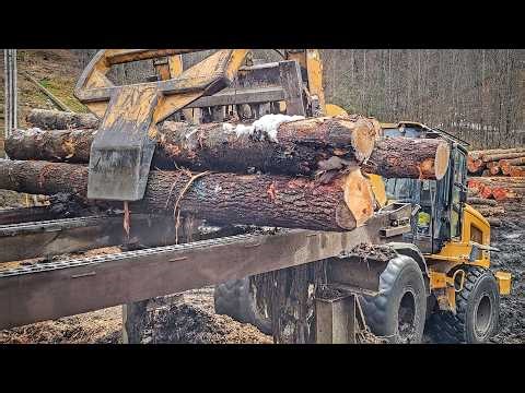Turning LOGS into LOG HOMES!!!