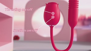 Watch How To Use The Rose Sex Toy on Amazon Live