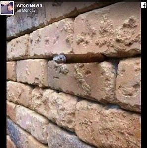 This is the brick wall illusion that is driving the Internet crazy