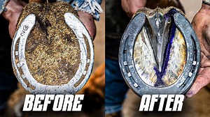 From overgrown to perfect horse hoof transformation