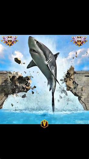 Giant Shark Destroyed Bridge! Free FireImpossible Shark Bridge Break 🦈