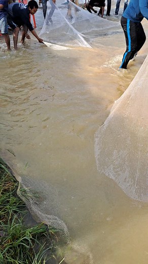 13K views · 189 reactions | Unique Fishing by cast nets | Lii Xii CC - លី ស៊ីស៊ី | Facebook