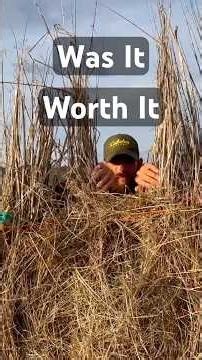 I Made A DIY Photography Duck Blind #shorts #birds #photography