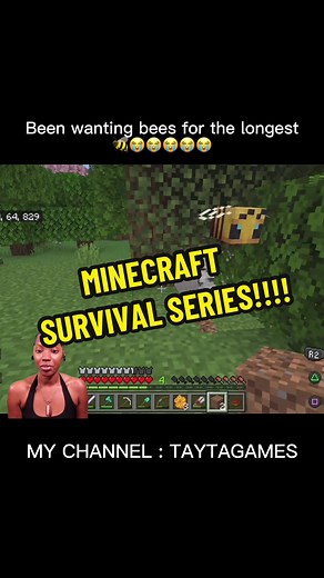 Minecraft Survival: Beehive Creation and Honey Harvesting