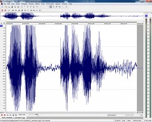 BFBC2 English Player Voices addon - Battlefield 2