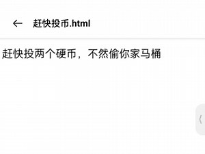 挑战用python编译器制作html文件而且显示它