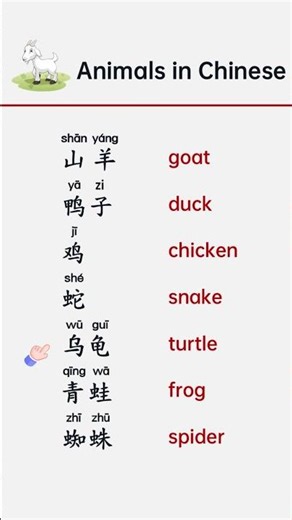 How to Say "Duck" in Chinese? #learnchinese #learnmandarin