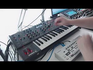 The Pro-303 - An acid techno experiment [Sequential Pro-3 /w Roland TB-03]