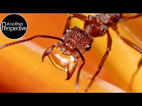 DIY - Create Your own Flash Diffuser in under 5 Minutes