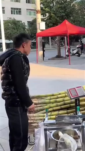 Exploring the Magic of AI Robots