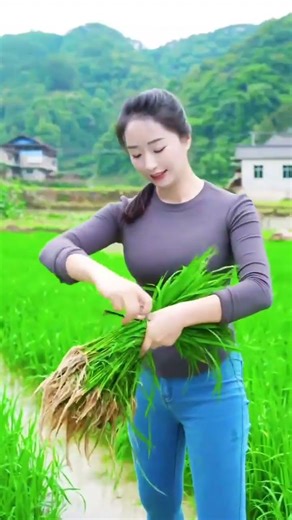 Spring Breeze, Rain, and Busy Farming: A Heartwarming Spring Scene
