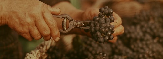 Bern’s Wine Cellar | World’s Largest | Bern’s Steakhouse