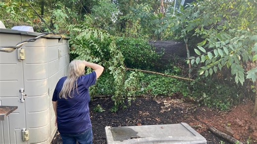 A Thunderstorm in Lexington leaves downed trees on homes, thousands in the dark officials say