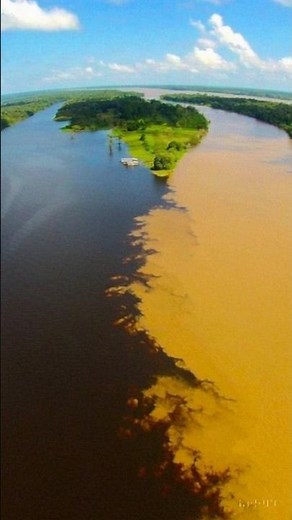 아마존 열대우림 (Amazon Rainforest)#travel #아마존#브라
