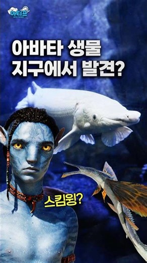 아바타 판도라 행성의 생물들이 지구에서 발견되었다고❓️#아바타 #아바타3 #아르티스테마파크 #아쿠아리움 #실내동물원 #핫플 #핫플추천 #실내데이트 #경기도가볼만한곳