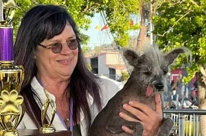 World’s ugliest dog 2023 crowned as Scooter - a bald Chinese crested pooch