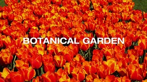 24K views · 429 reactions | Botanical Garden at Tøyen is home to more than 1800 different plants, a scent garden and greenhouses with exotic plants from other parts of the world. It's also a pretty amazing park :) Open every day, free entrance, more info: https://goo.gl/xi6Naj | Visit Oslo | Facebook