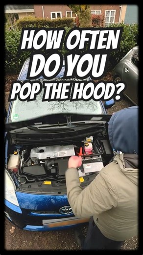 My monthly Toyota Prius routine... 🛠️