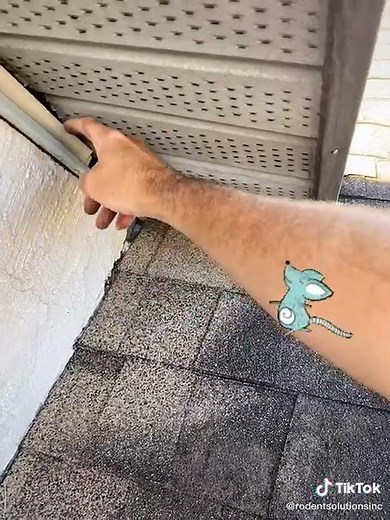 Roof Joint Rodent Entry Points - Rodent Solutions Inc