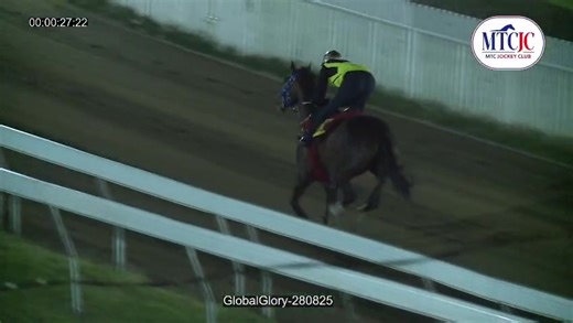 4.3K views · 17 reactions | MTCJC on Reels | Facebook