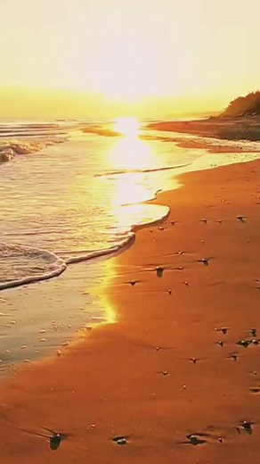 aaaa🤣 #funnyvideos #funnybird #videoshort2024 #memes #fyp