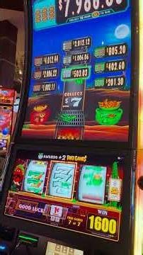 $15 BET LANDS THIS...