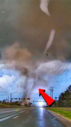 2.3K views · 22 reactions | When lightning strikes too close… #ShockingNature | Dime Junior | Facebook