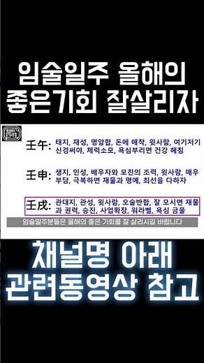 병오년 임술일주 특 #사주 #팔자 #신년운세 #임일간 #임수일간 #임자일주 #임인일주 #임진일주 #임오일주 #임신일주 #임술일주 #일주론 #2026년 #2026년운세 #병오년