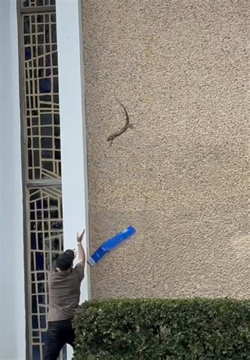 Stackz Compilation Part 58: Hilarious Moments Revealed