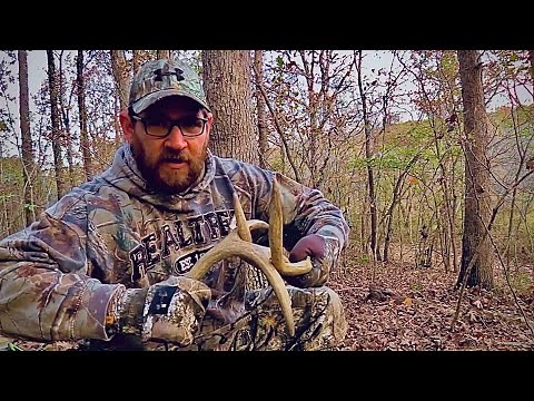 Tips and Tricks for a Successful Rattling Sequence During the Rut