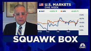 Retail investor is best to stick with mega-cap stocks, and here are some of them: Portfolio manager