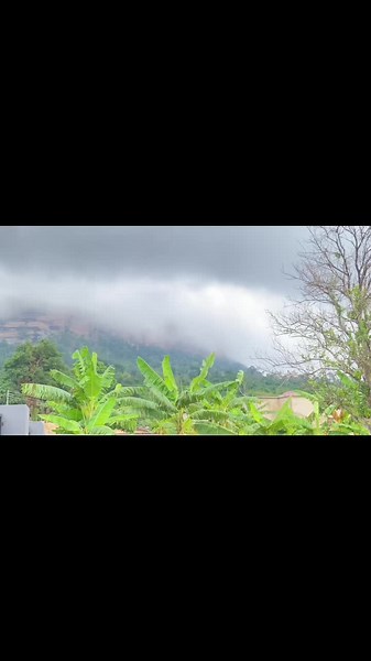 #fyp #fypシ゚ #fyp