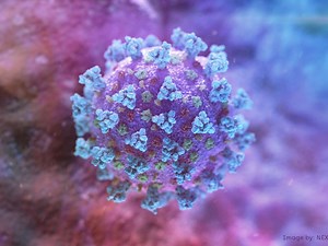 First Ottawa death attributed to COVID-19