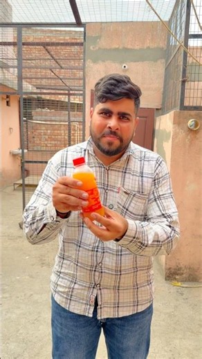 Sparsh Ne Pilayi Bakri Ko Mazza😅🥰| Sparsh Arora | #treding #shorts #ytshorts