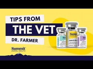 How to Administer Joint & Mobility Injections in Horses | Dr. Heather Farmer, DVM