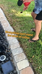 #bugs #mosquitoes #summer #coffee #party #outside #camping | Anne Caserta