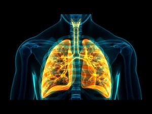 Pathophysiology:Pulmonary